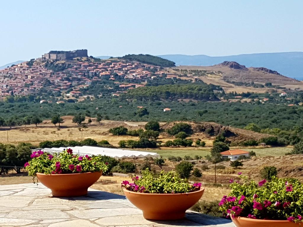 Villa Molivos Views Μήθυμνα Εξωτερικό φωτογραφία