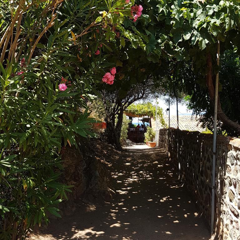 Villa Molivos Views Μήθυμνα Εξωτερικό φωτογραφία